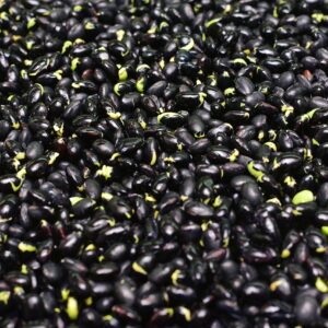 Canned black beans 15 oz