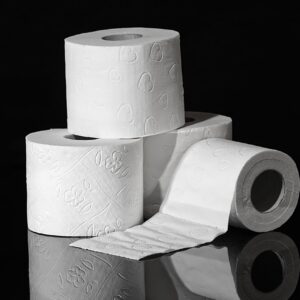 Toilet paper 12 roll