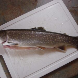 Frozen whole fish